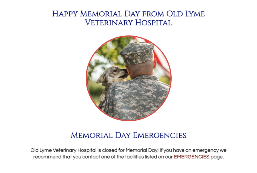 Click to visit our emergencies page