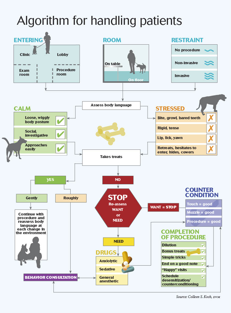 Algorithm for handling patients