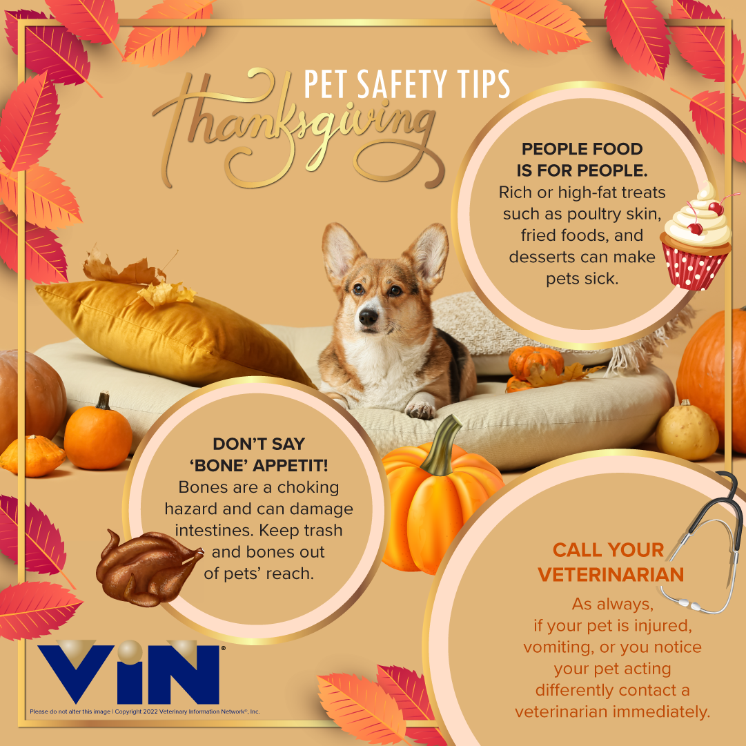 Thanksgiving Safety Graphic